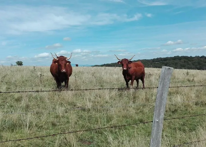 Дом отдыха Riviere & 4 Etoiles En Auvergne - Cantal Auvergne - & Riom Pr Valette